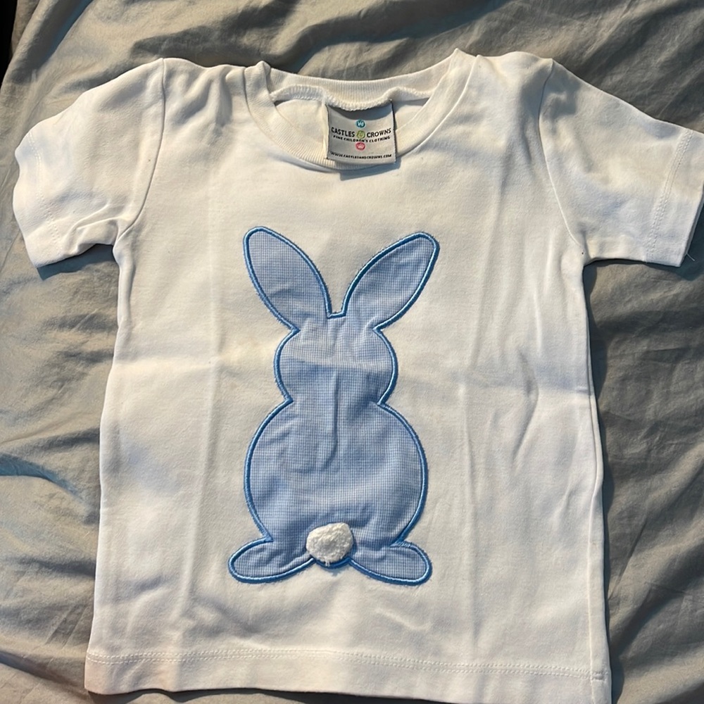 Blue Bunny Appliqué Shirt Sleeve Tee and Pant set 12mo.